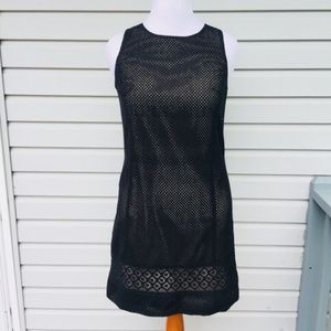 Ann Taylor Loft lace shift dress black nude sz 8